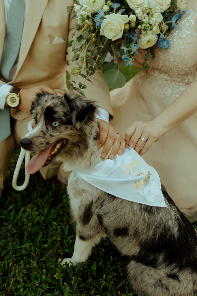 dog friendly northern colorado wedding venue